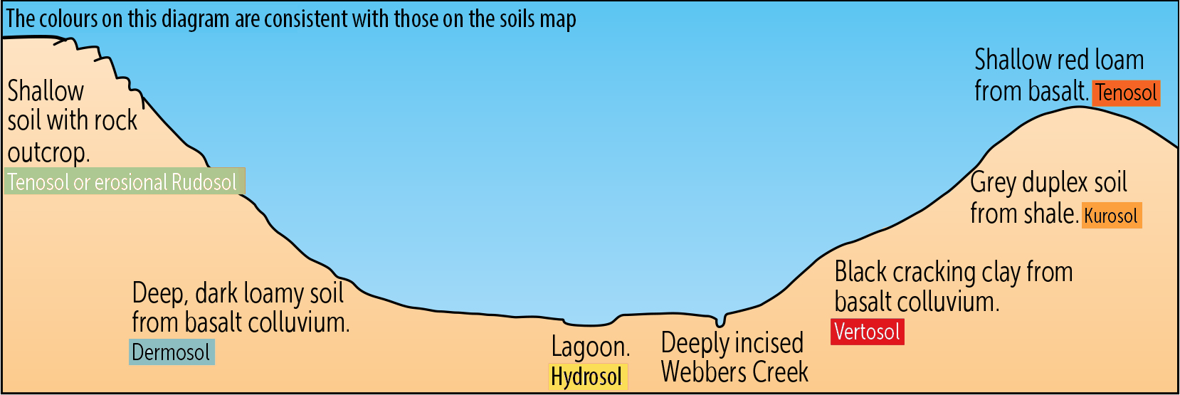 Position in the landscape influences the type of soils found across a property