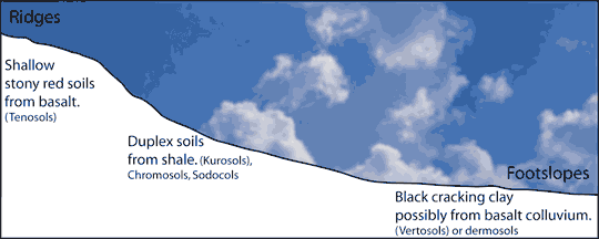 Soil-Types