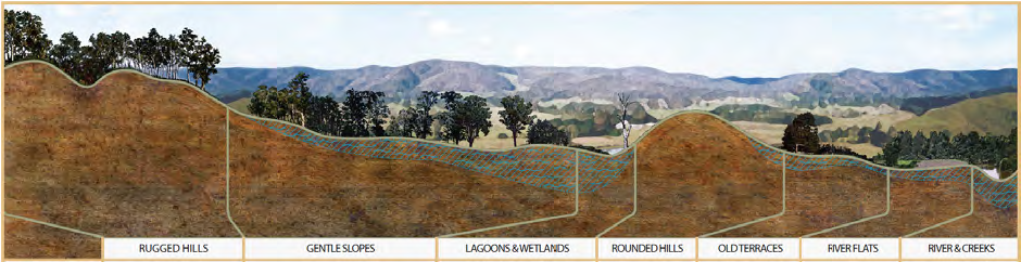 The different landscapes on Tocal