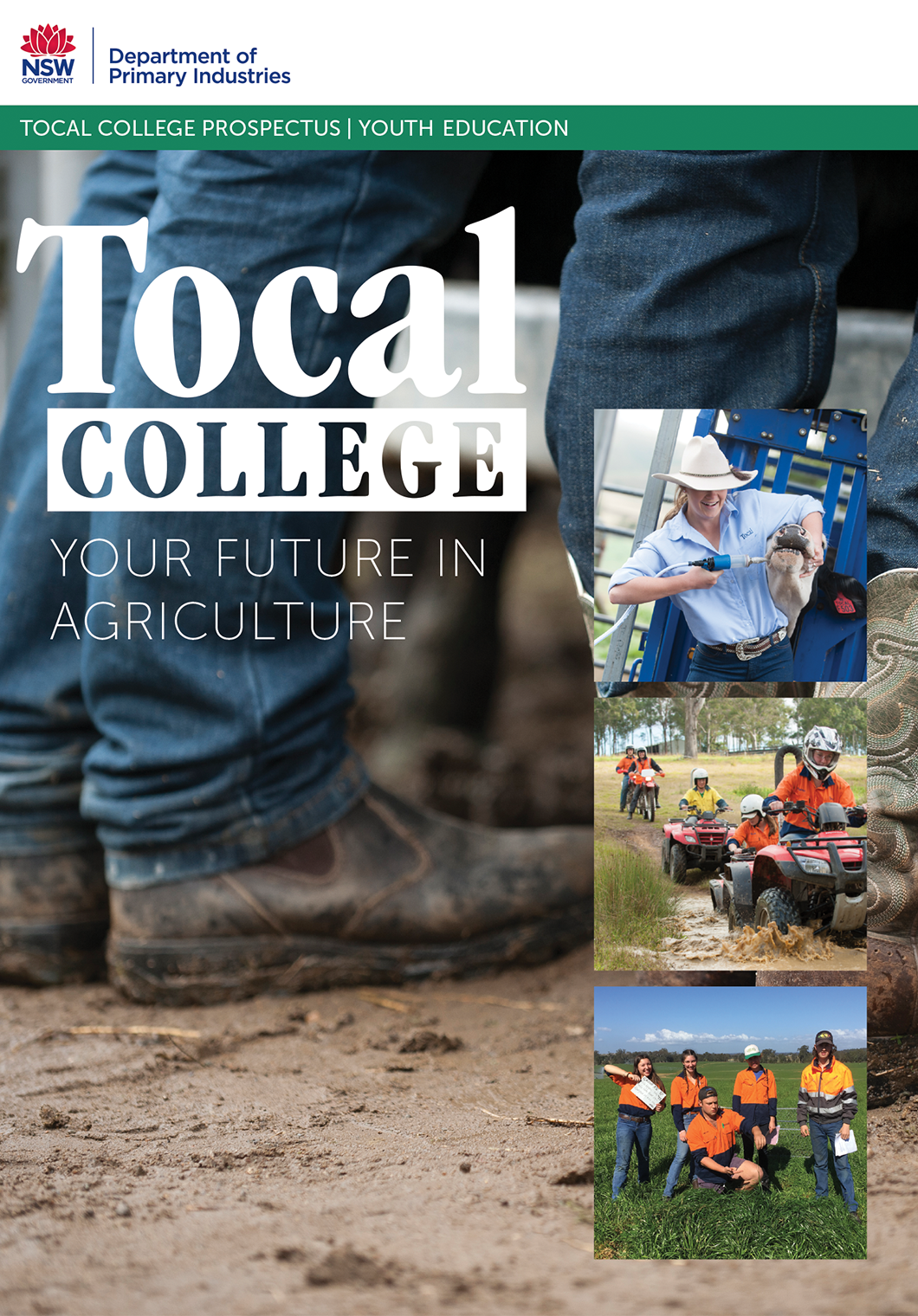 Tocal skills bookcover