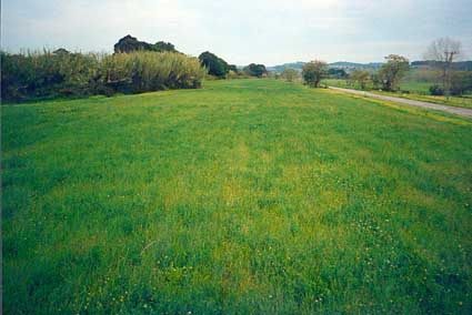 Soil-Profile-1-Windmill