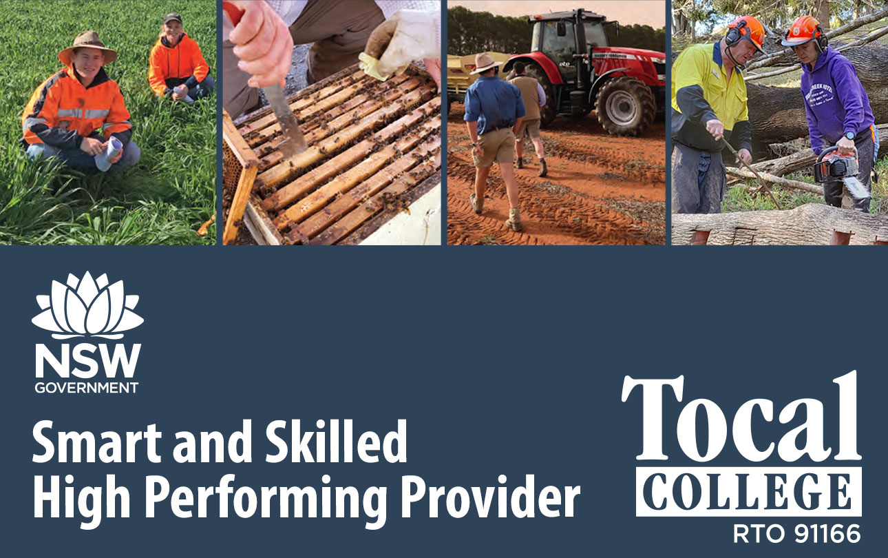Tocal-high-performing.jpg High performing provider