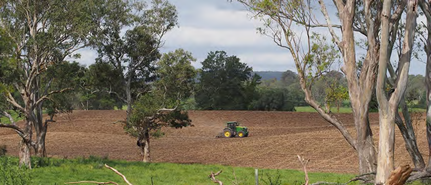 Tocal soil with surrounding landscape