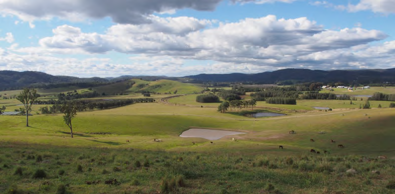 Pastures from View Paddock