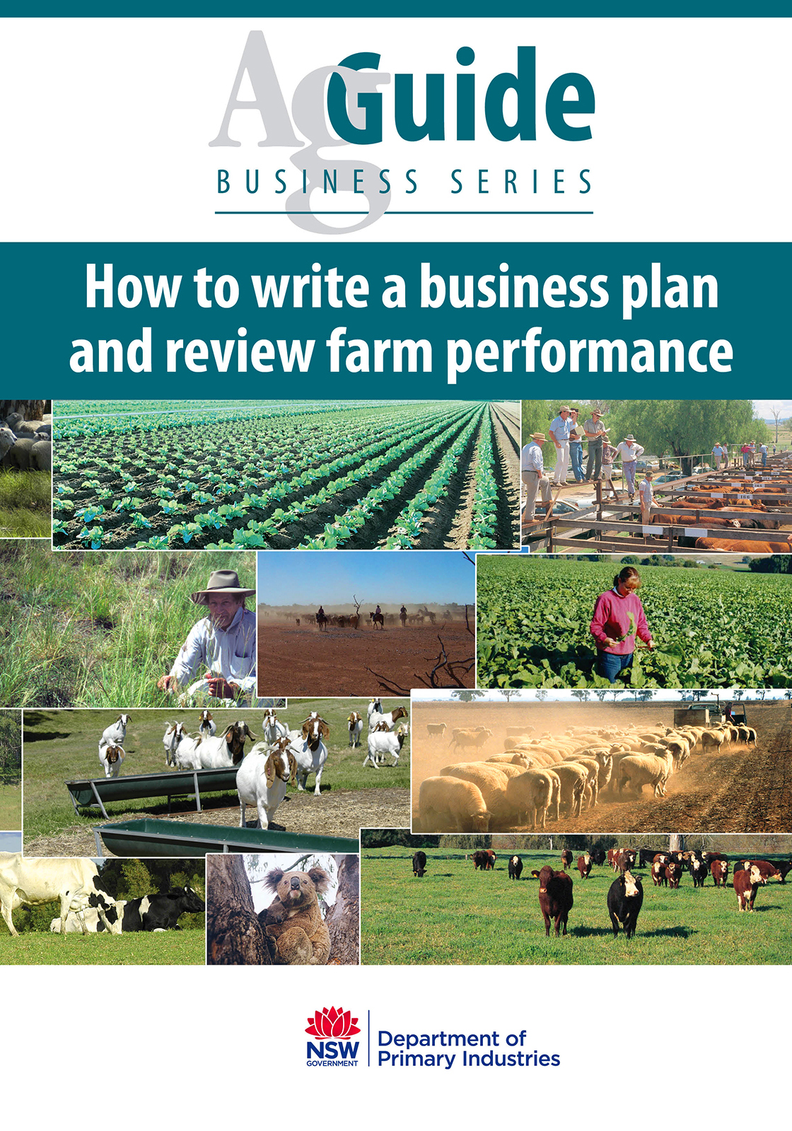 sample of agricultural business plan in nigeria pdf