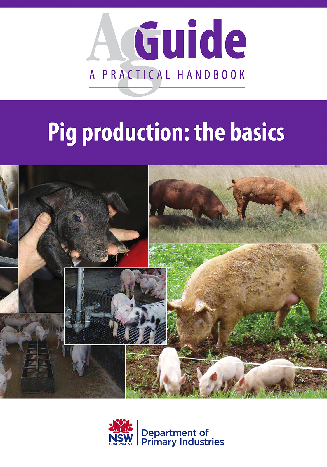 pig production business plan pdf