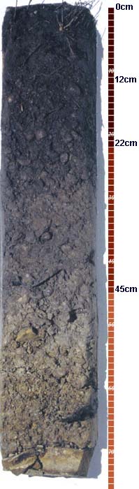 Soil-Profile-14