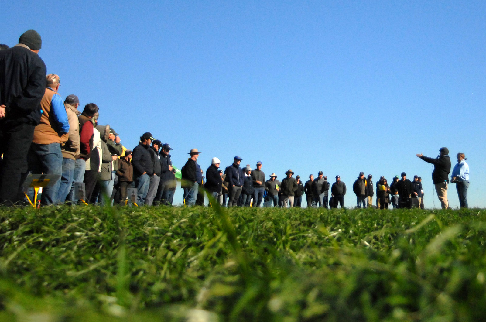 pasture-field-day-2_rel.jpg pastures
