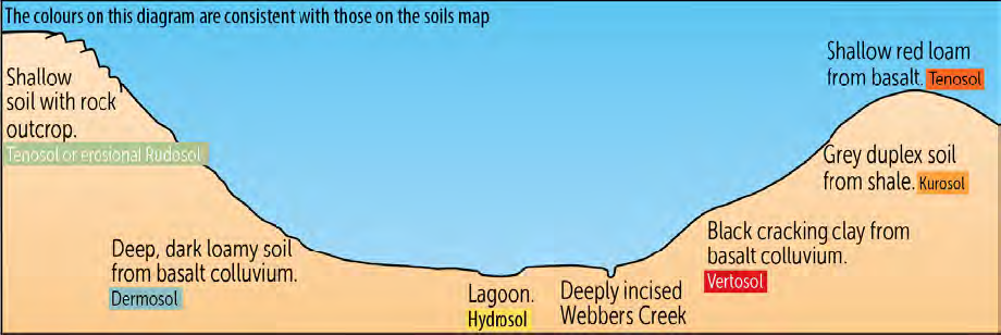 Types of soils and their positions in the landscape