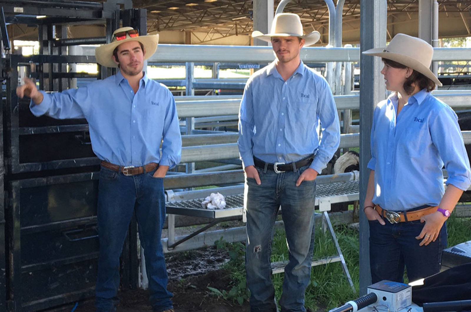 students in the cattle yard