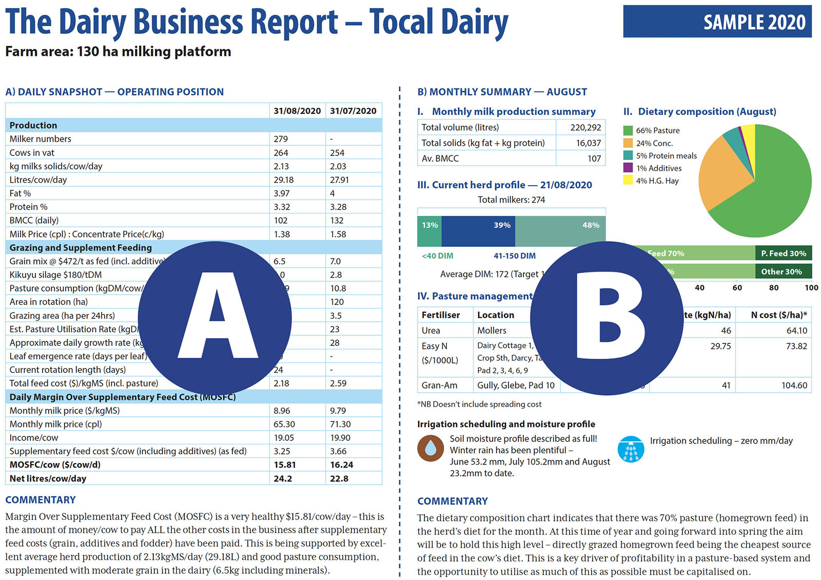 Example of Dairy Business Report