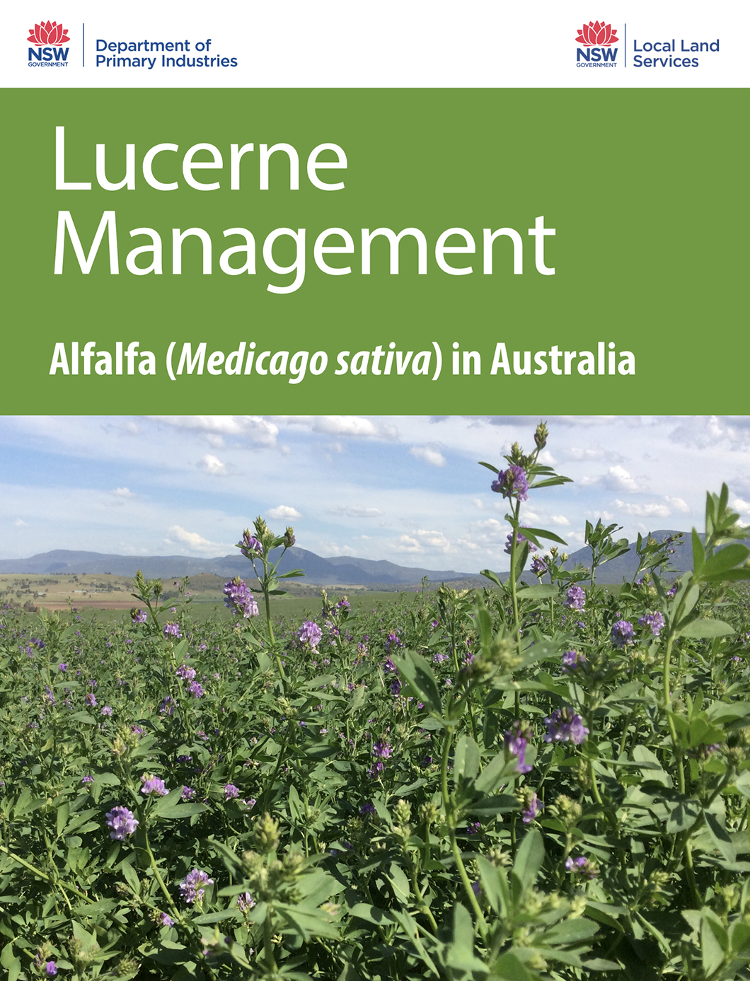 Cover of Lucerne Management