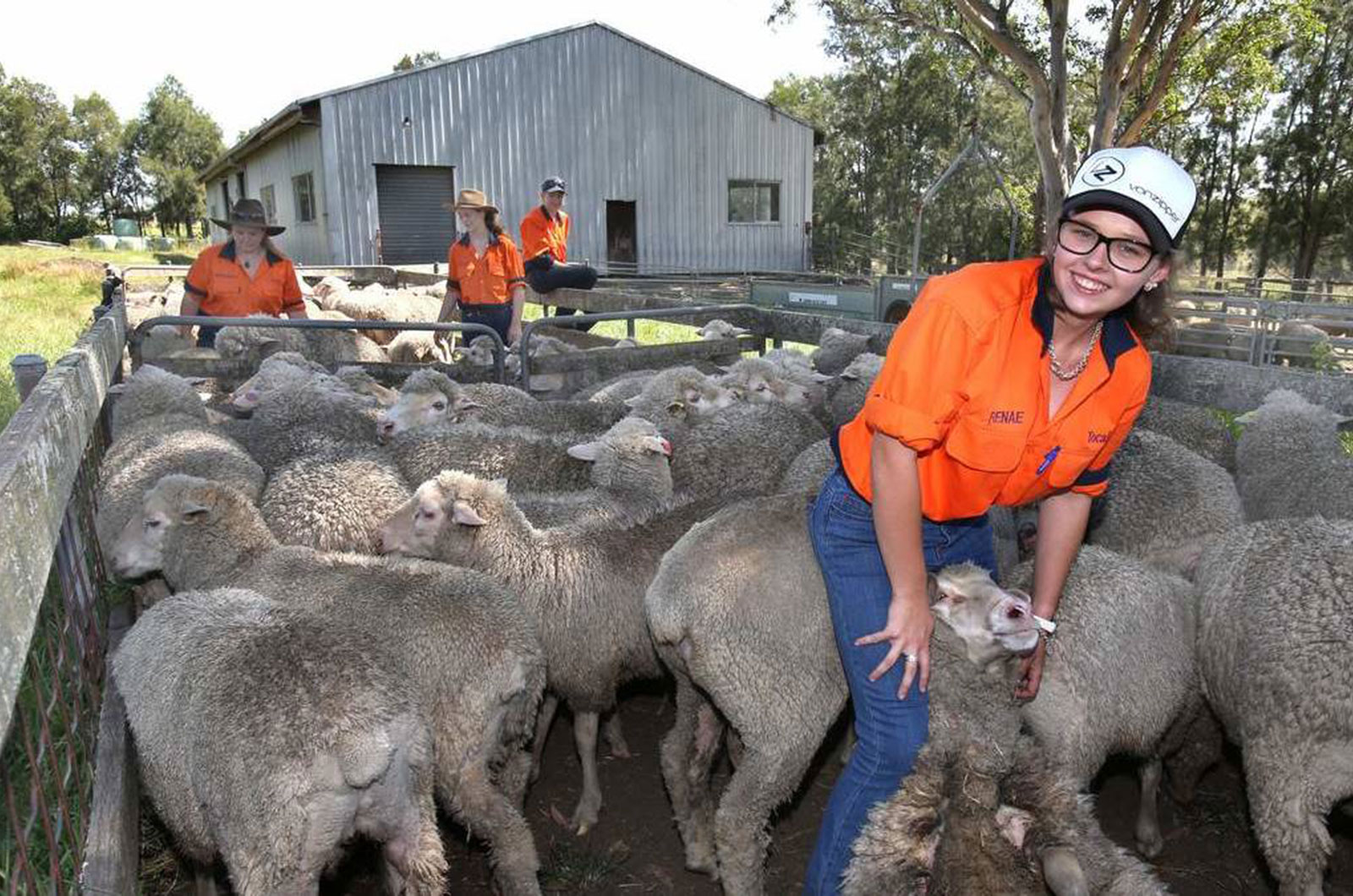 Tocal Student Handling a Sheep
