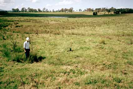 Soil-Profile-19-Racecourse