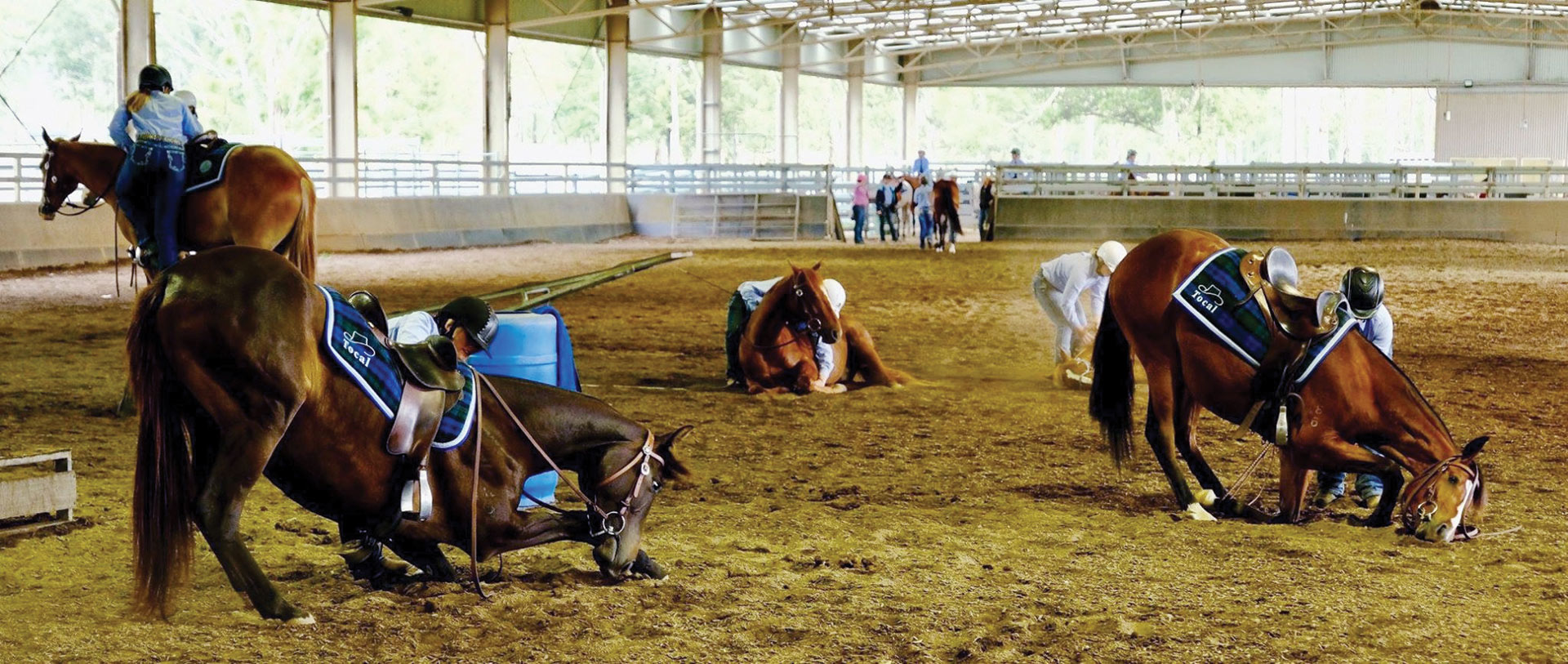 Students training horses