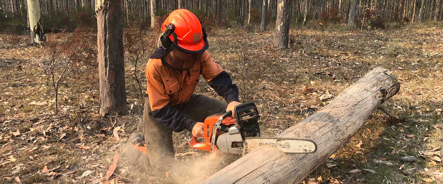 Level 2 Chainsaw Training Course -Arbotrim Training