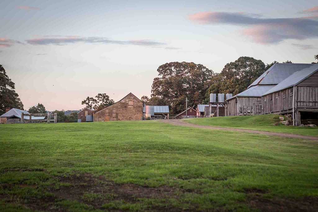 Tocal Homestead